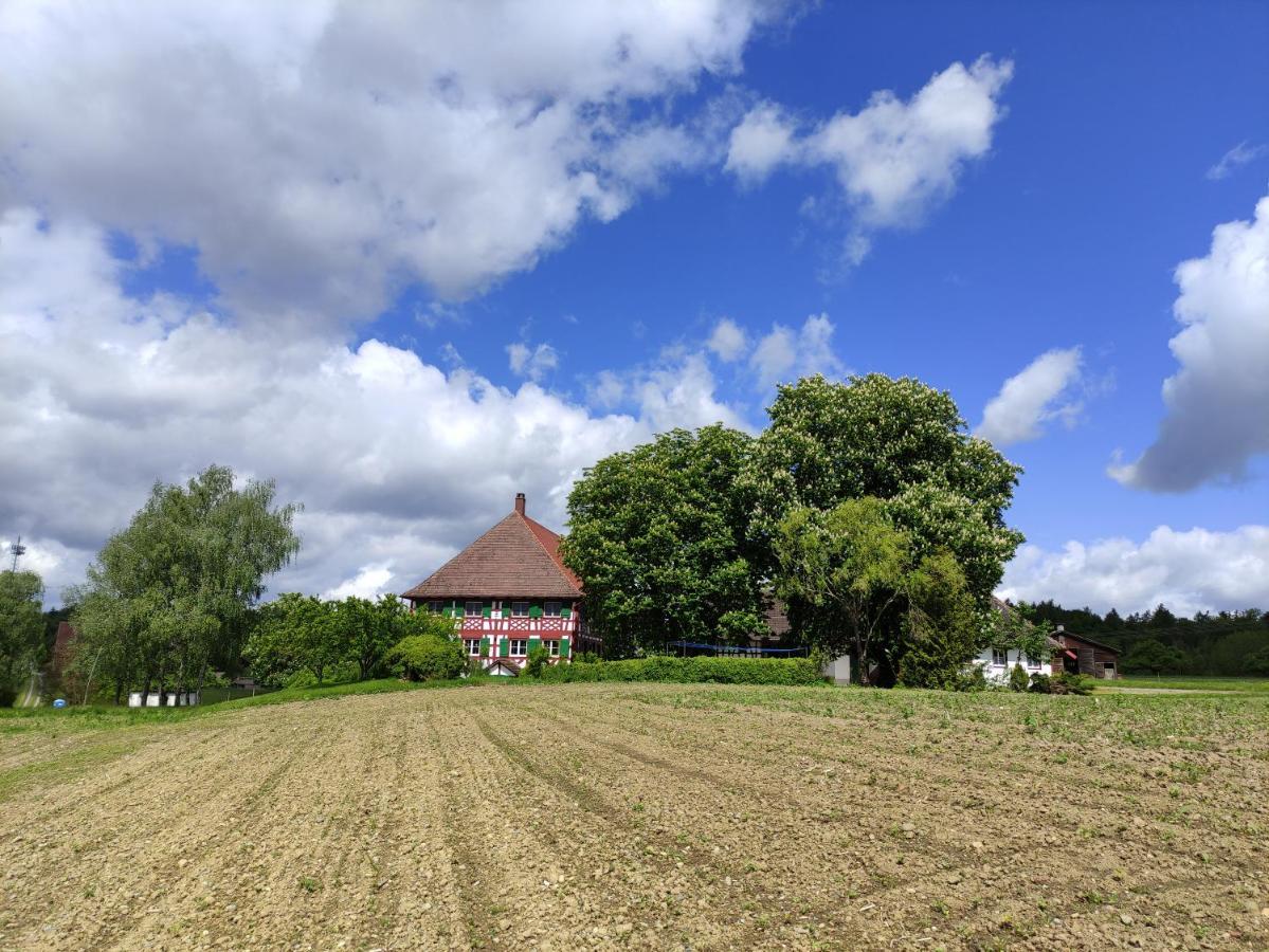 Hofgut Breitenbach Markdorf Dış mekan fotoğraf